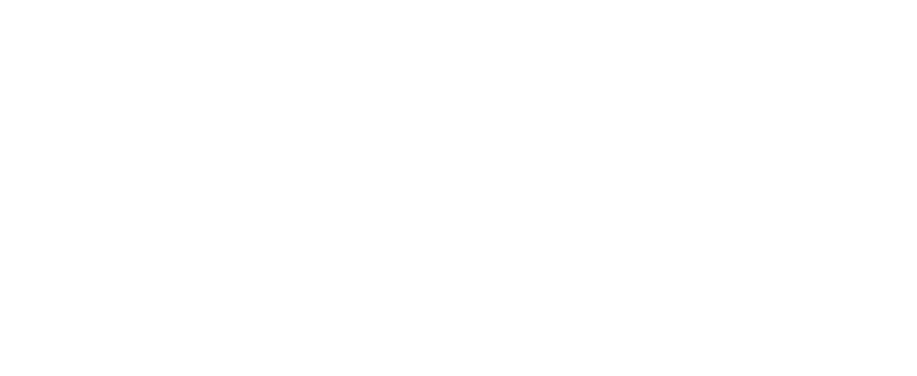 DIONY BERG